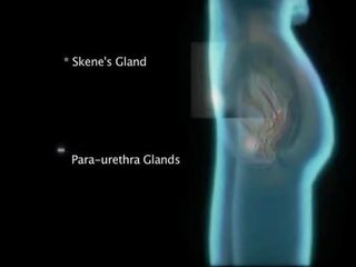 G-spot hieronta stimuloiva 2